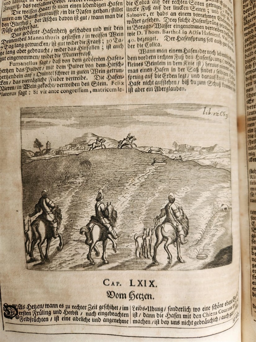 1682 Georgica curiosa ILLUSTRATED noble country life antique PIGSKIN BOUND FOLIO - 12