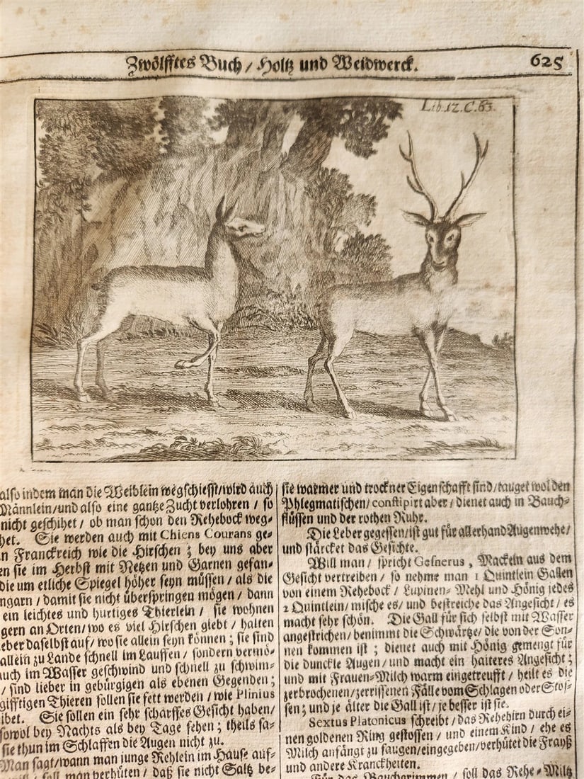 1682 Georgica curiosa ILLUSTRATED noble country life antique PIGSKIN BOUND FOLIO - 13