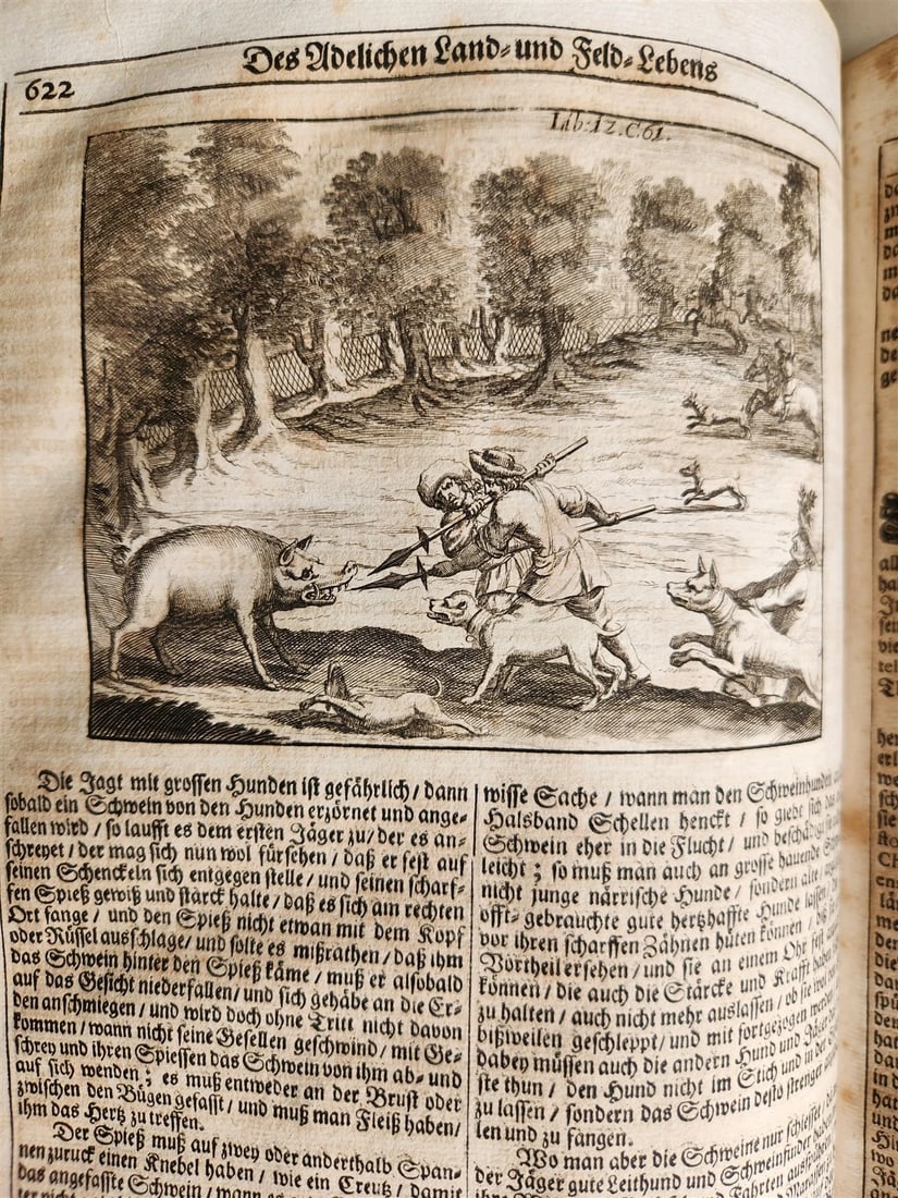1682 Georgica curiosa ILLUSTRATED noble country life antique PIGSKIN BOUND FOLIO - 14