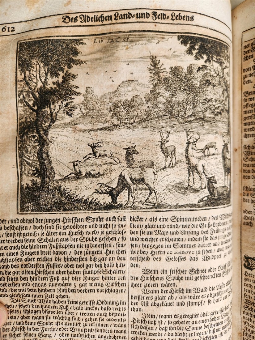 1682 Georgica curiosa ILLUSTRATED noble country life antique PIGSKIN BOUND FOLIO - 15