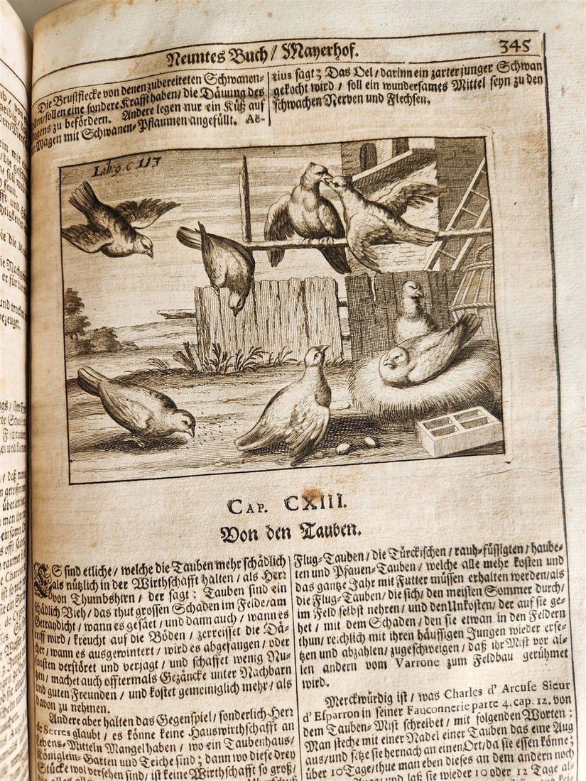 1682 Georgica curiosa ILLUSTRATED noble country life antique PIGSKIN BOUND FOLIO - 20