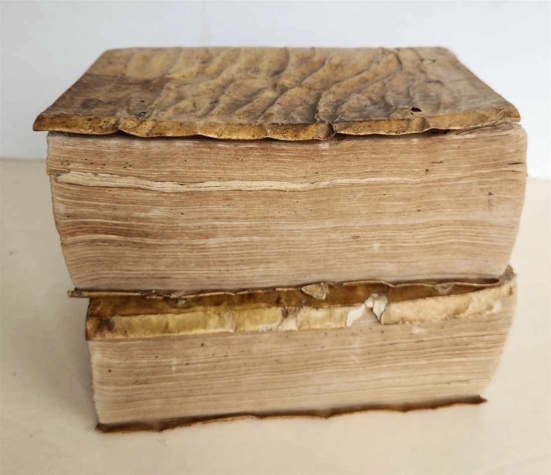1594 PLUTARQUE Lives of Illustrious Greeks & Romans 2 VOLS antique ILLUSTRATED - 3