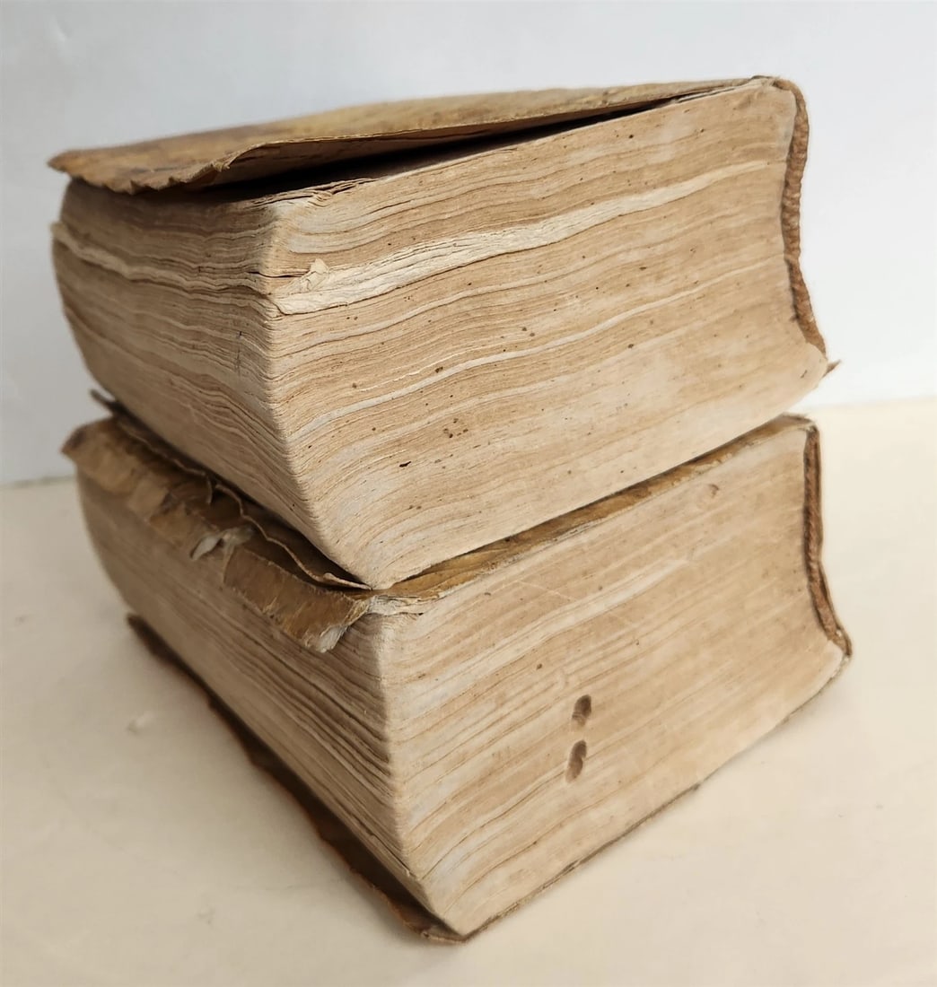 1594 PLUTARQUE Lives of Illustrious Greeks & Romans 2 VOLS antique ILLUSTRATED - 4