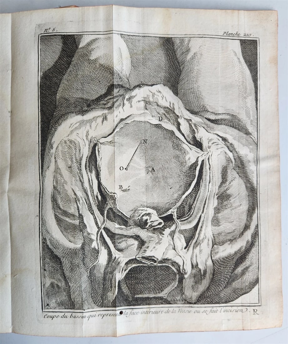 1770 MEDICAL TREATISE ILLUSTRATED ANATOMY by Francois PLANQUE antique V. 10 - 15
