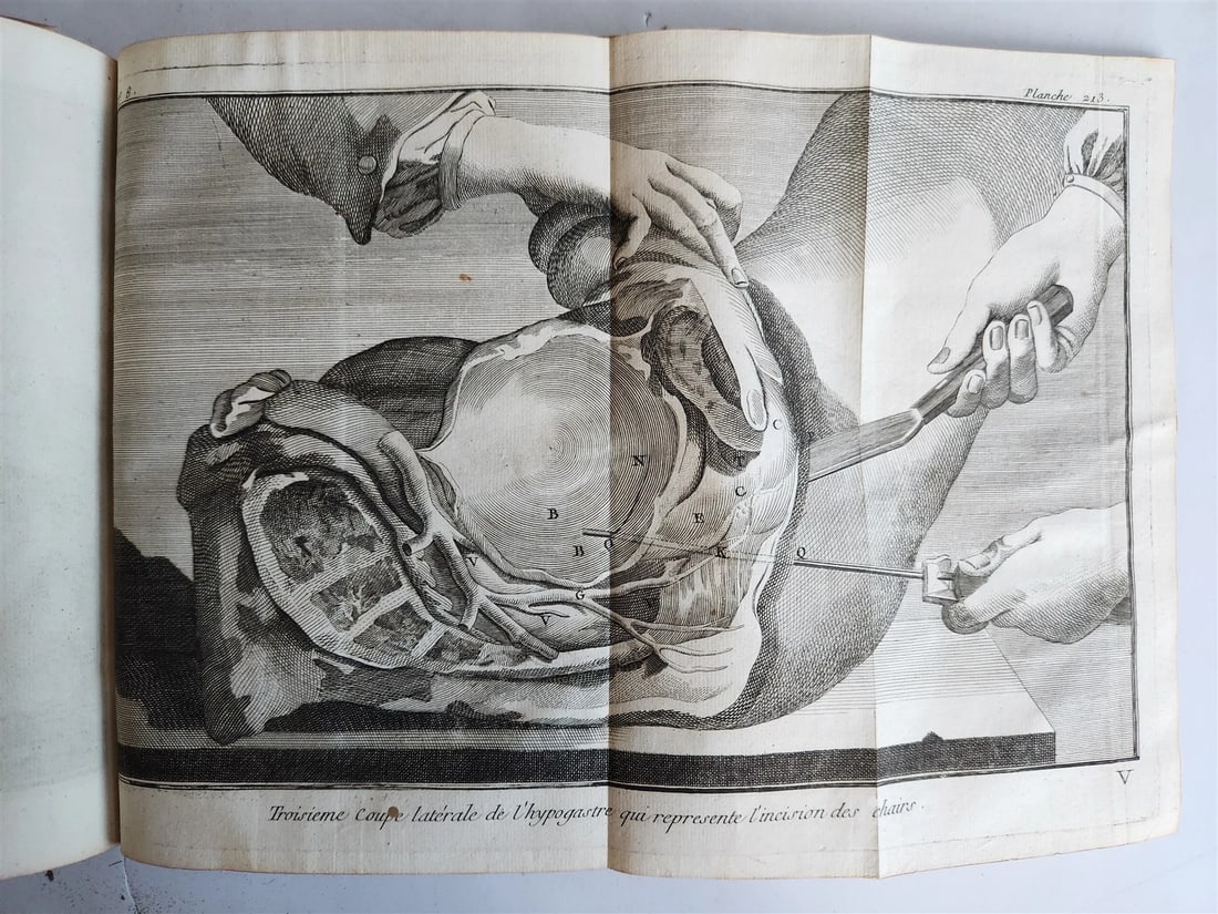 1770 MEDICAL TREATISE ILLUSTRATED ANATOMY by Francois PLANQUE antique V. 10 - 16