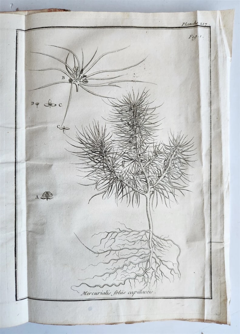 1770 MEDICAL TREATISE ILLUSTRATED ANATOMY by Francois PLANQUE antique V. 10 - 20