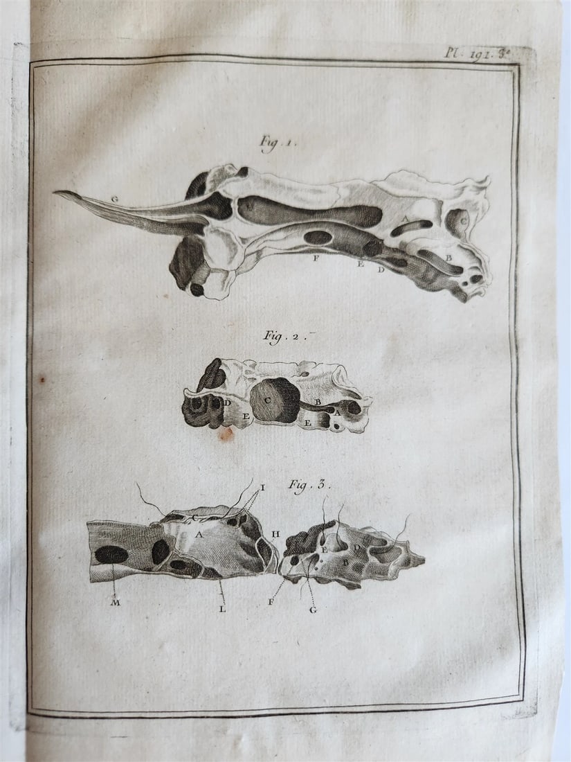 1766 MEDICAL TREATISE ILLUSTRATED ANATOMY by Francois PLANQUE antique V. 9 - 13