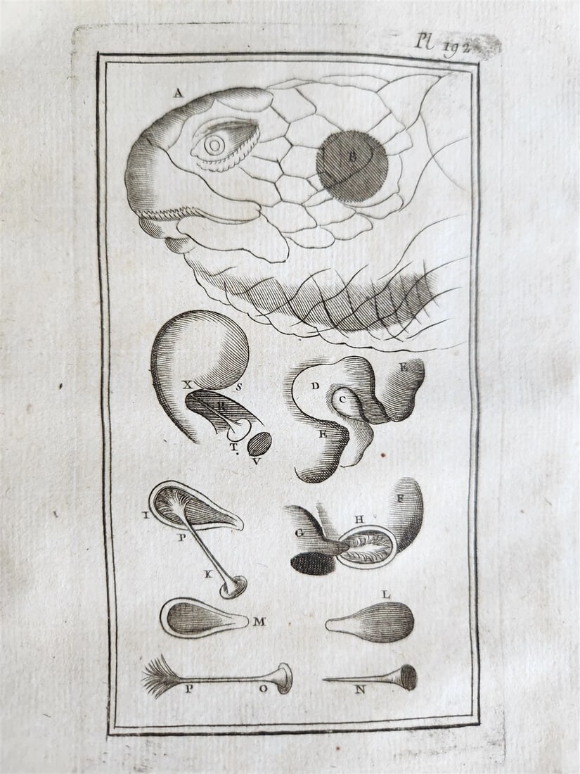 1766 MEDICAL TREATISE ILLUSTRATED ANATOMY by Francois PLANQUE antique V. 9 - 14