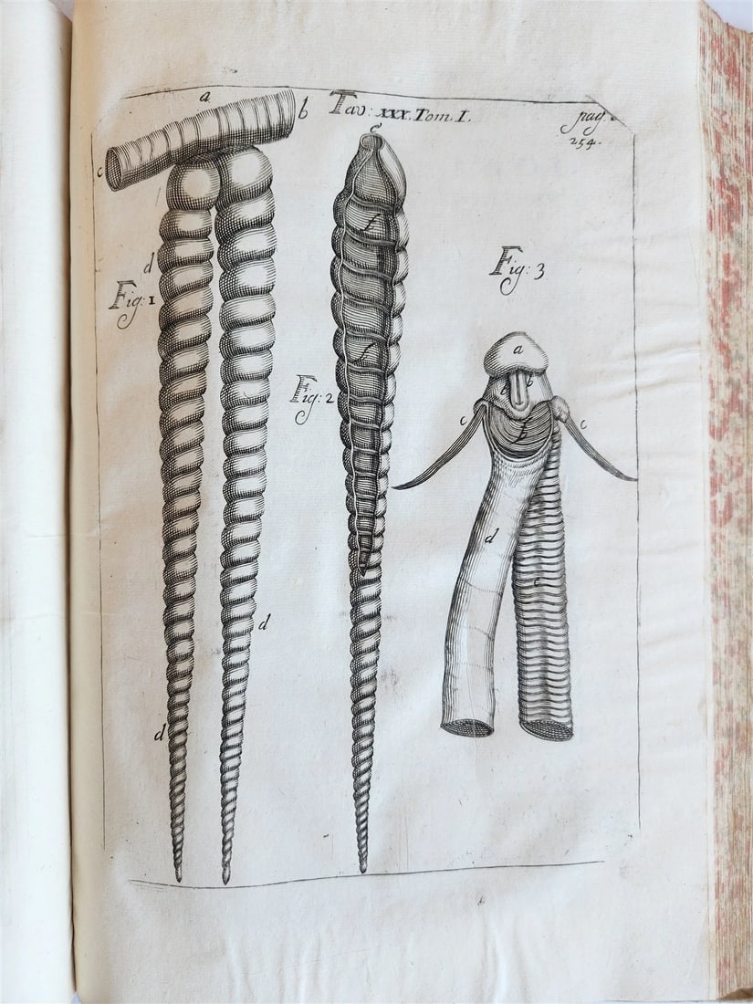 1733 MEDICAL TREATISE by ANTONIO VALLISNERI antique ILLUSTRATED 3 folio volumes - 15