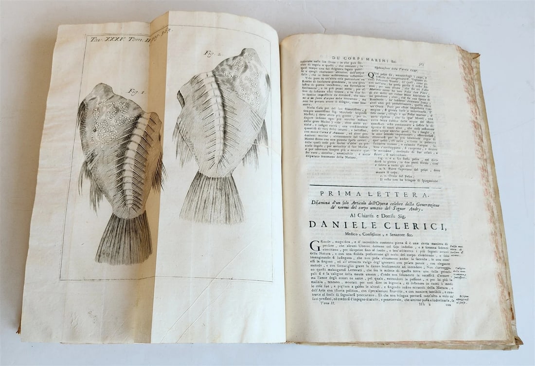 1733 MEDICAL TREATISE by ANTONIO VALLISNERI antique ILLUSTRATED 3 folio volumes - 16