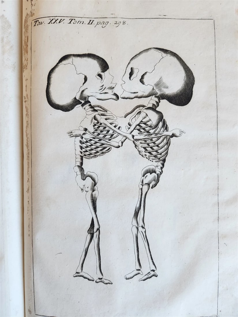 1733 MEDICAL TREATISE by ANTONIO VALLISNERI antique ILLUSTRATED 3 folio volumes - 2