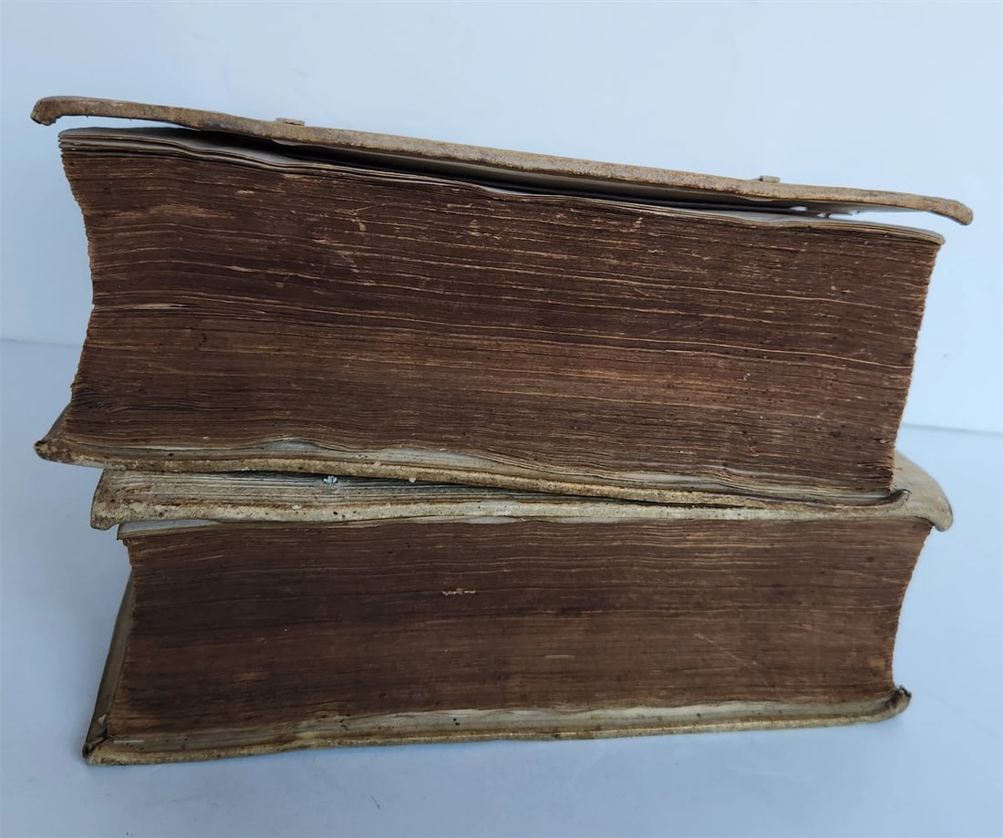 1581 ASTROLOGY & ASTRONOMY Ephemerides Johannes Stadius ANTIQUE 2 PIGSKIN VOLS - 4