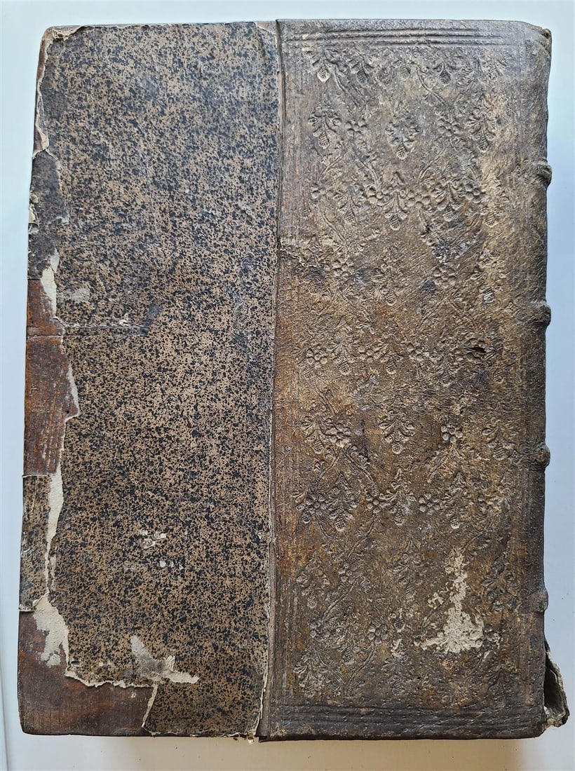1514 PLINY THE YOUNGER F. Regnault POST-INCUNABULA antique NATURAL HISTORY rare - 16