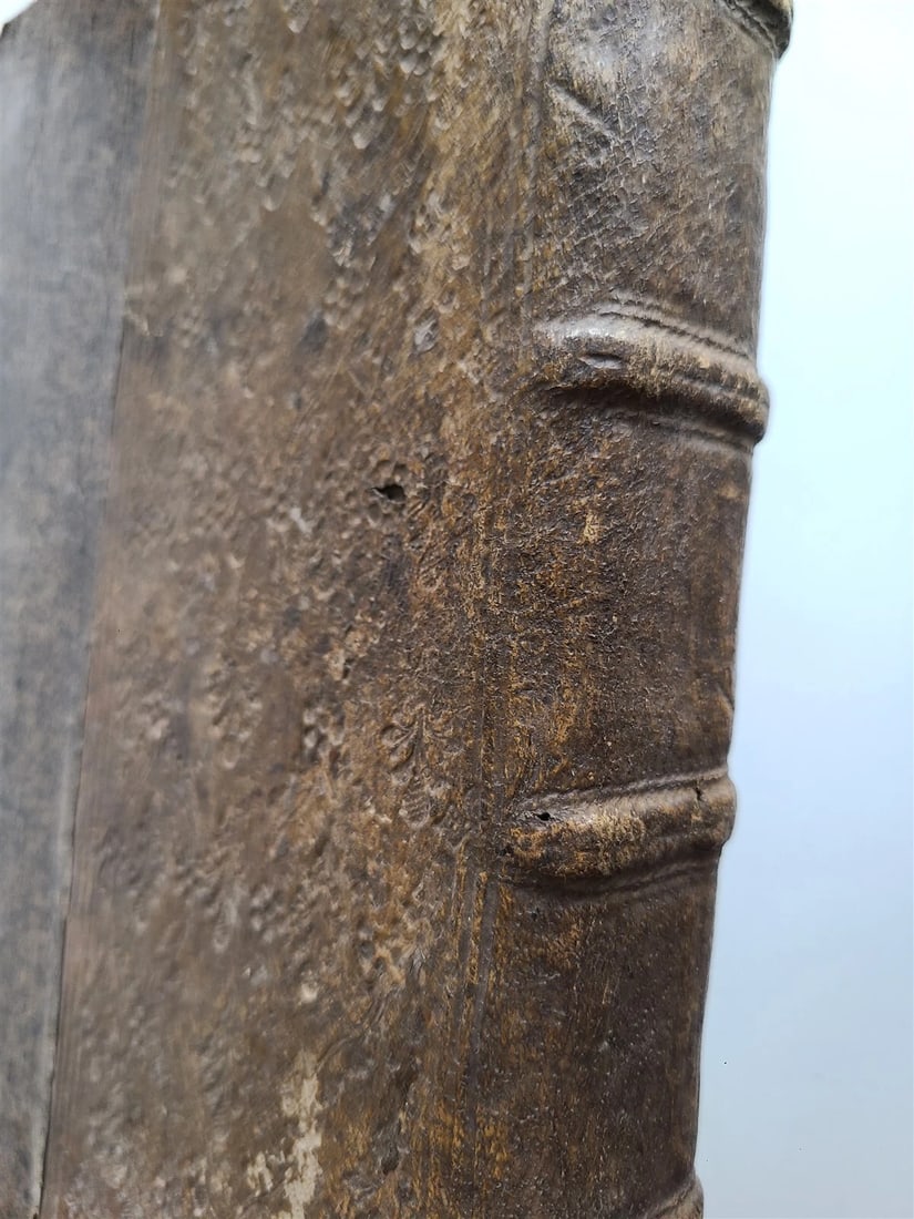 1514 PLINY THE YOUNGER F. Regnault POST-INCUNABULA antique NATURAL HISTORY rare - 17