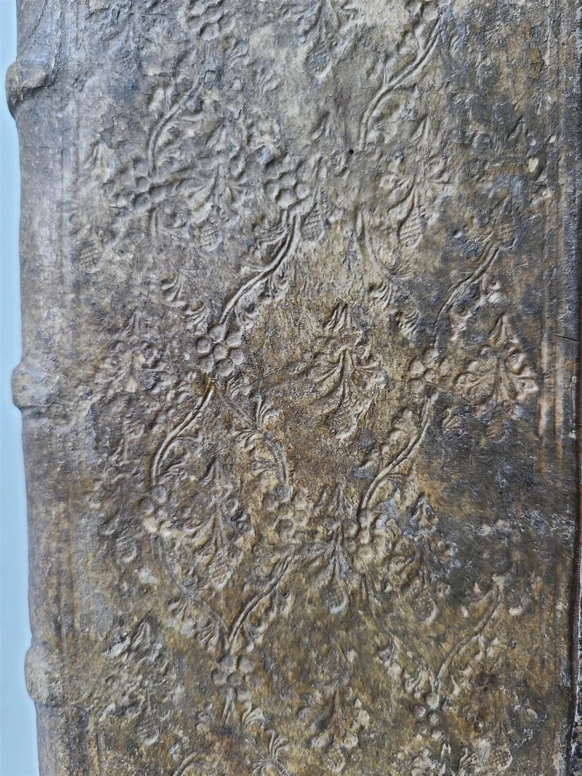 1514 PLINY THE YOUNGER F. Regnault POST-INCUNABULA antique NATURAL HISTORY rare - 18