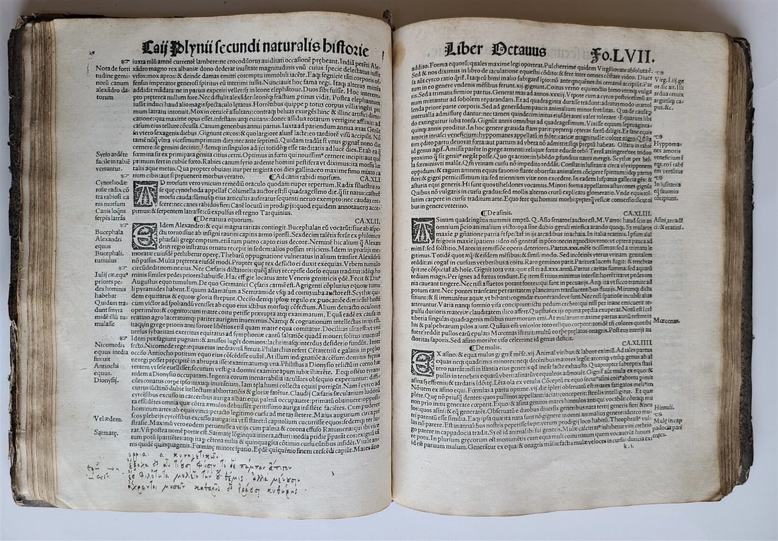 1514 PLINY THE YOUNGER F. Regnault POST-INCUNABULA antique NATURAL HISTORY rare - 4
