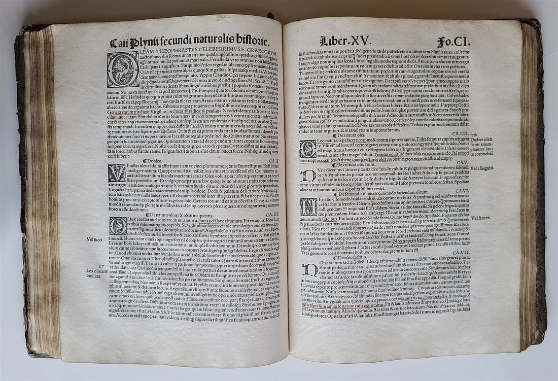 1514 PLINY THE YOUNGER F. Regnault POST-INCUNABULA antique NATURAL HISTORY rare - 5