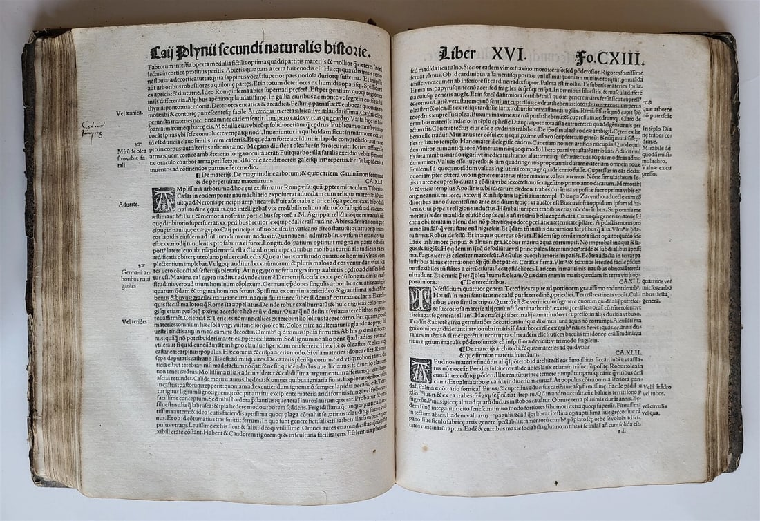 1514 PLINY THE YOUNGER F. Regnault POST-INCUNABULA antique NATURAL HISTORY rare - 6