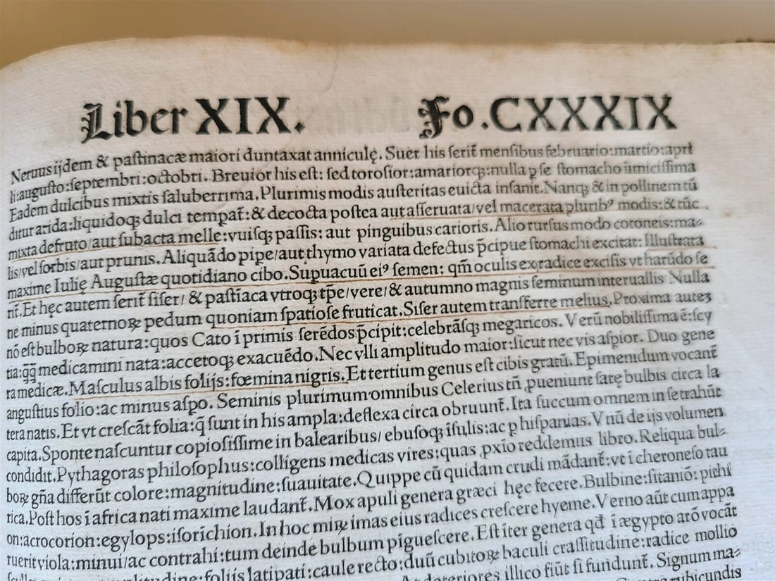 1514 PLINY THE YOUNGER F. Regnault POST-INCUNABULA antique NATURAL HISTORY rare - 7