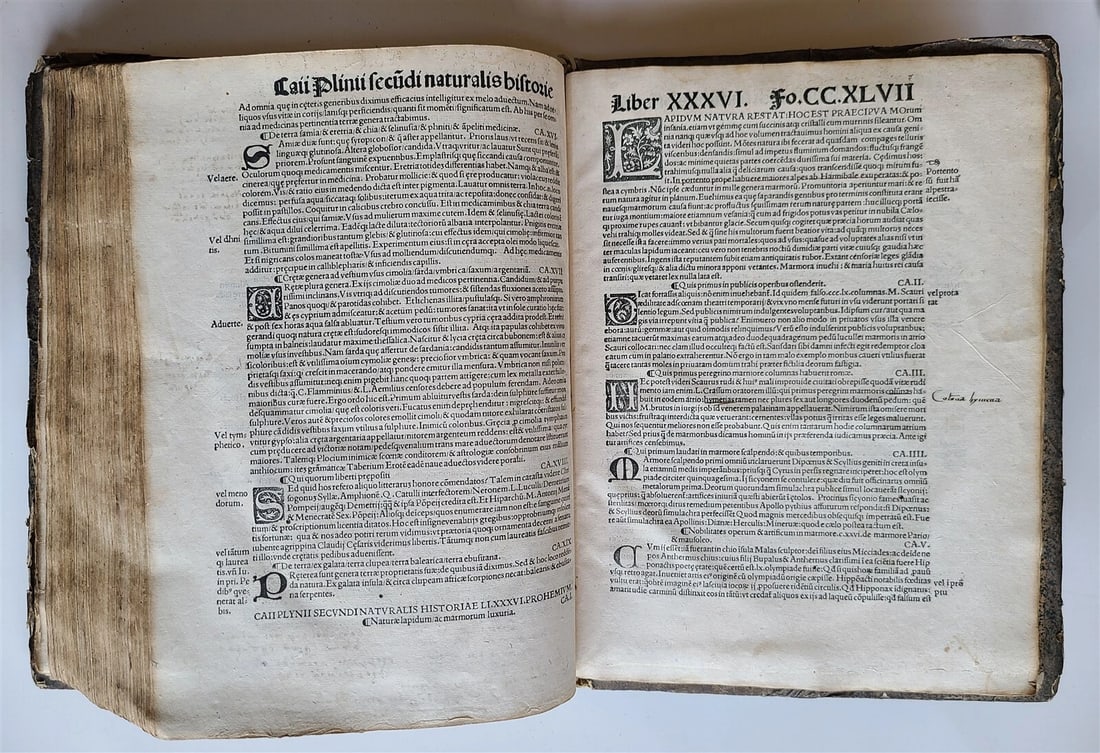 1514 PLINY THE YOUNGER F. Regnault POST-INCUNABULA antique NATURAL HISTORY rare - 8