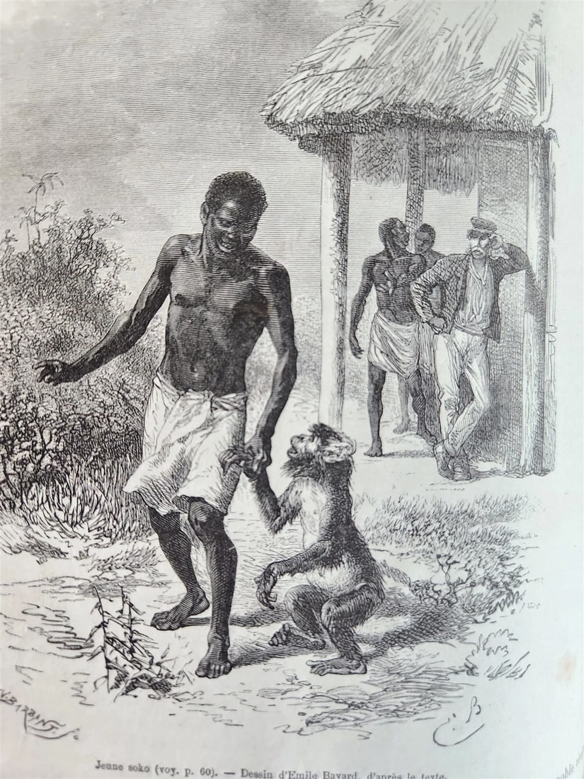 1875 HISTORY of VOYAGES ILLUSTRATED antique AFRICA TAIWAN AUSTRALIA VIETNAM - 17