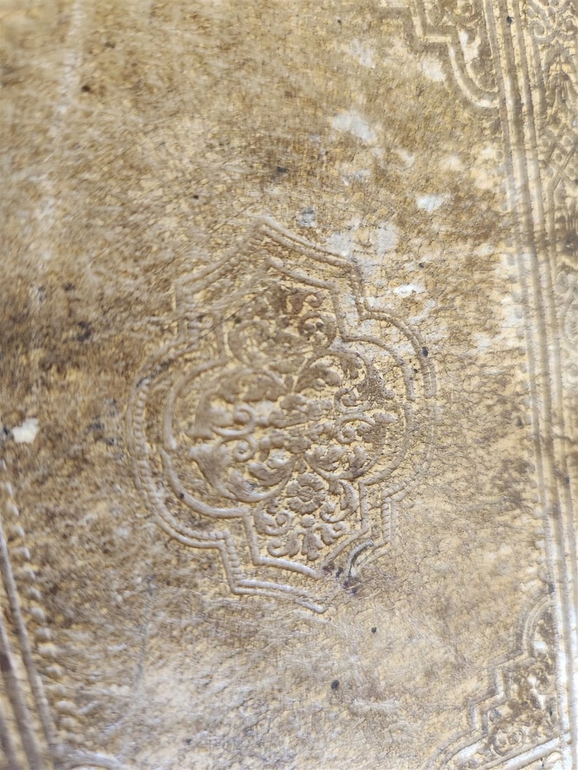 1741 LATIN GERMAN DICTIONARY incl. ANCIENT & MEDIEVAL antique PIGSKIN BINDING - 5