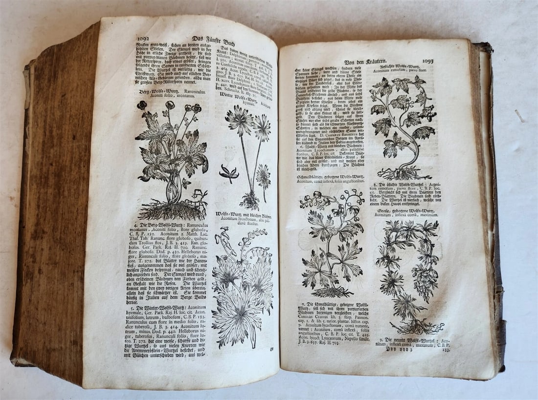 1744 THEATRUM BOTANICUM ULLISTRATED GERMAN HERBAL antique PIGSKIN BOUND FOLIO - 18