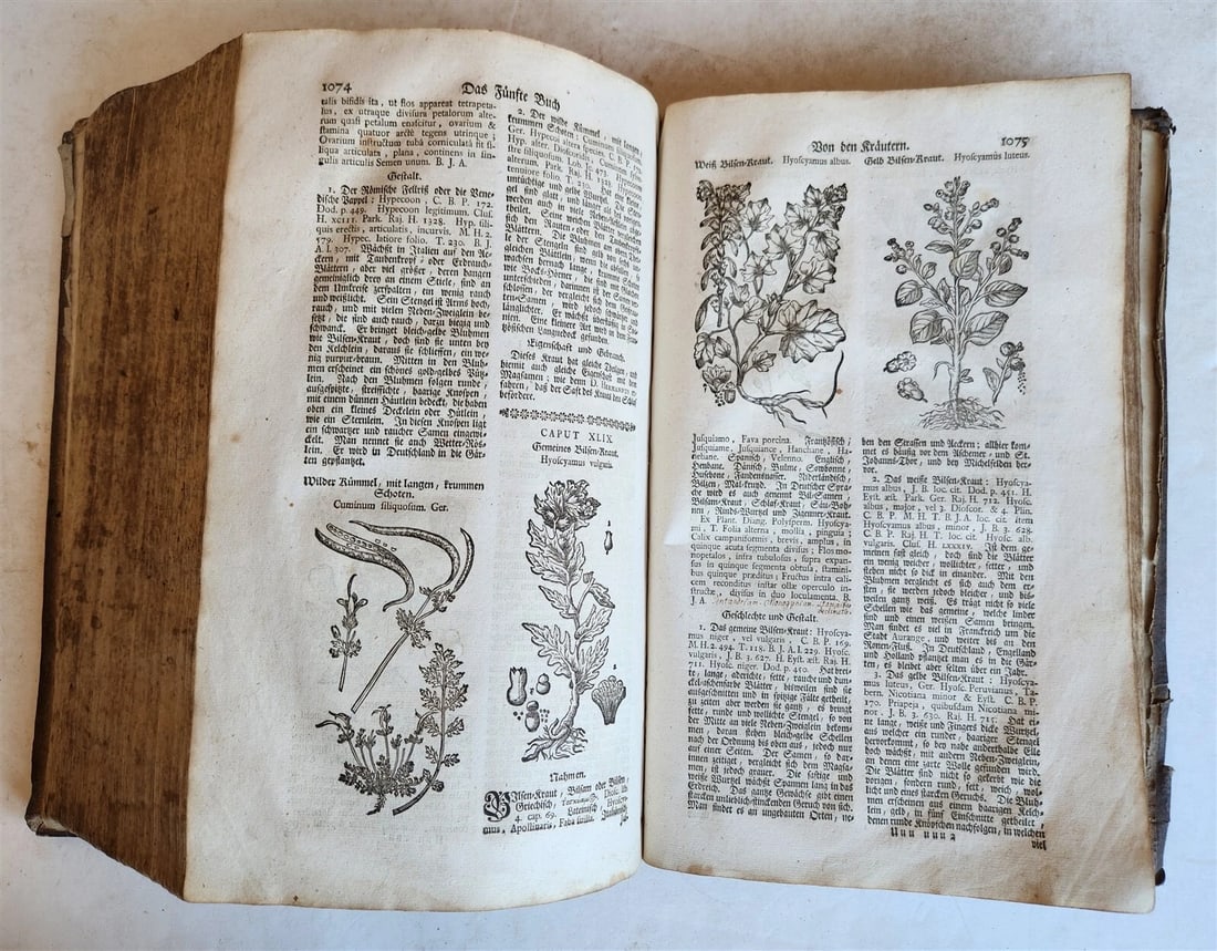 1744 THEATRUM BOTANICUM ULLISTRATED GERMAN HERBAL antique PIGSKIN BOUND FOLIO - 20