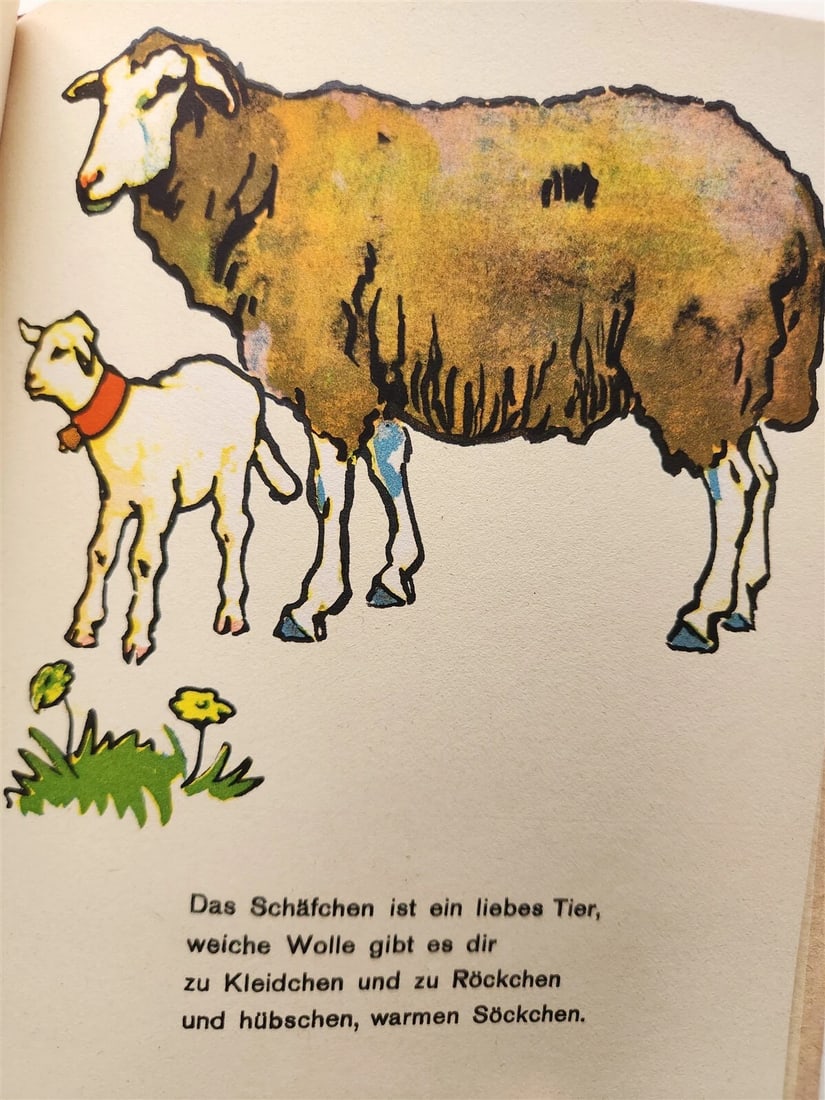 1960s ILLUSTRATED CHILDREN BOOK vintage NEUE TIER-BILDER by P.LEUTERITZ - 12