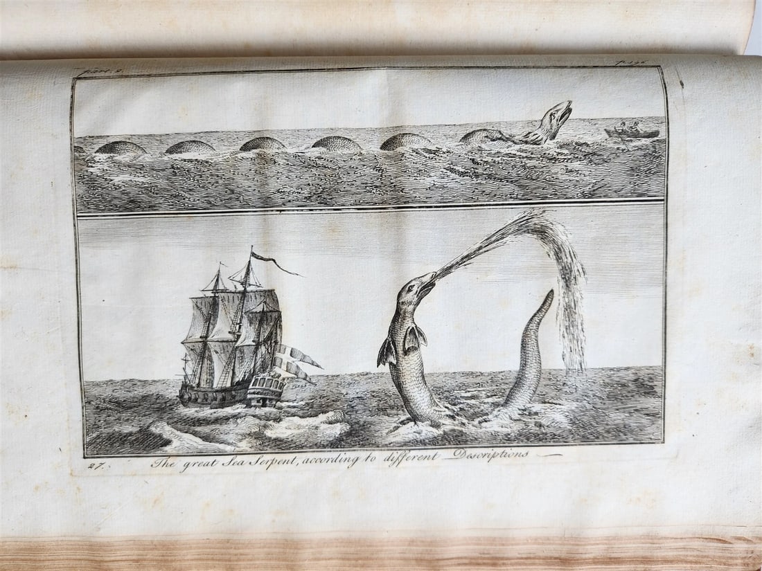 1755 NATURAL HISTORY of NORWAY ILLUSTRATED Pontoppidan antique FOLIO in ENGLISH - 13