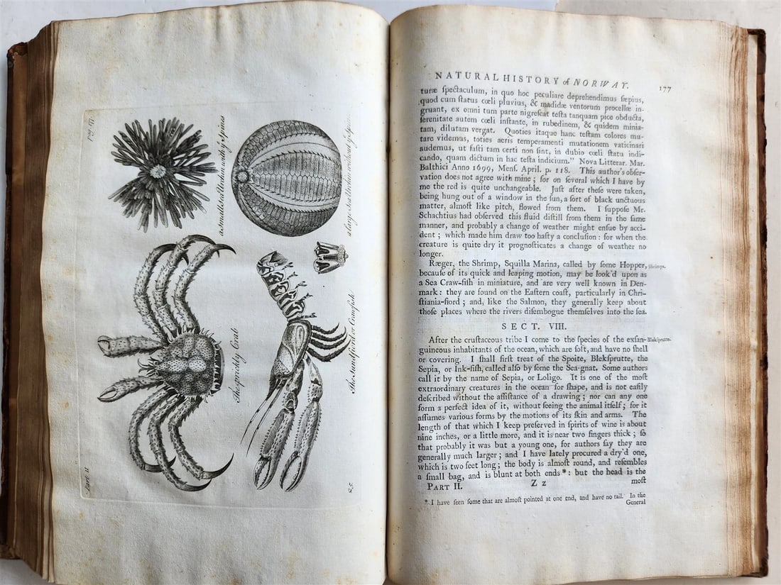 1755 NATURAL HISTORY of NORWAY ILLUSTRATED Pontoppidan antique FOLIO in ENGLISH - 15