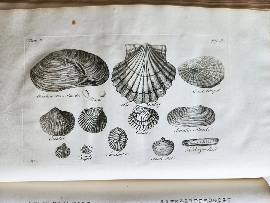 1755 NATURAL HISTORY of NORWAY ILLUSTRATED Pontoppidan antique FOLIO in ENGLISH - 16