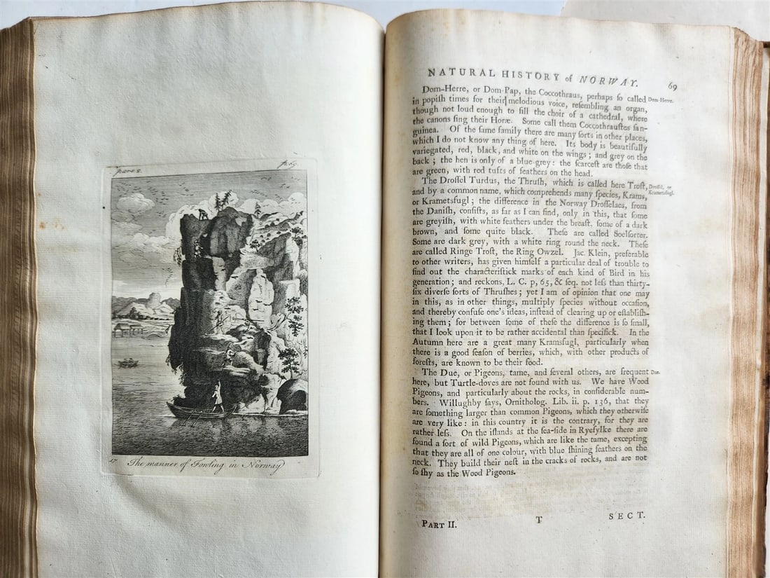 1755 NATURAL HISTORY of NORWAY ILLUSTRATED Pontoppidan antique FOLIO in ENGLISH - 20