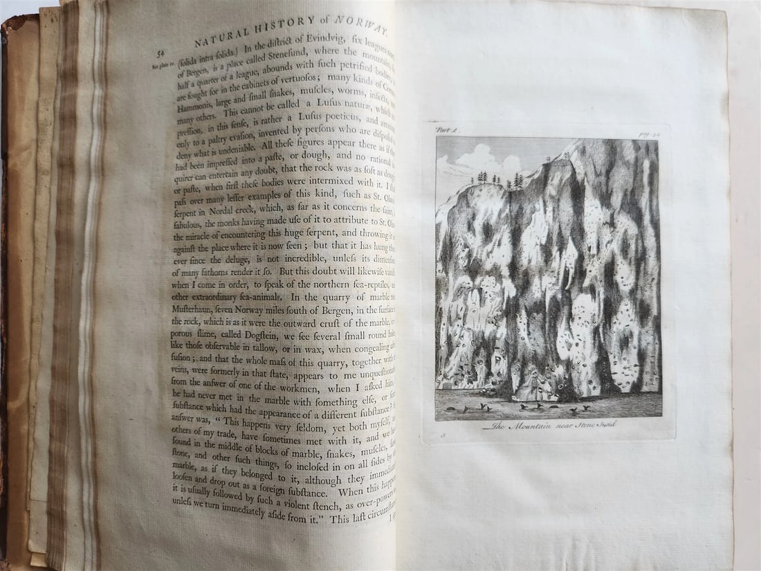 1755 NATURAL HISTORY of NORWAY ILLUSTRATED Pontoppidan antique FOLIO in ENGLISH - 7