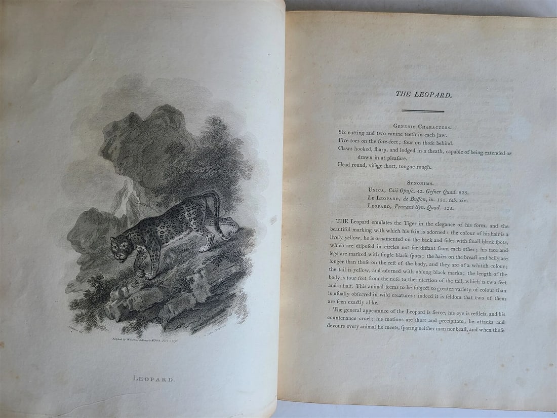 1805 CABINET of QUADRUPEDS ILLUSTRATED 2 FOLIO VOLUMES antique in ENGLISH - 15
