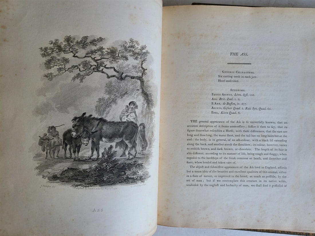 1805 CABINET of QUADRUPEDS ILLUSTRATED 2 FOLIO VOLUMES antique in ENGLISH - 17
