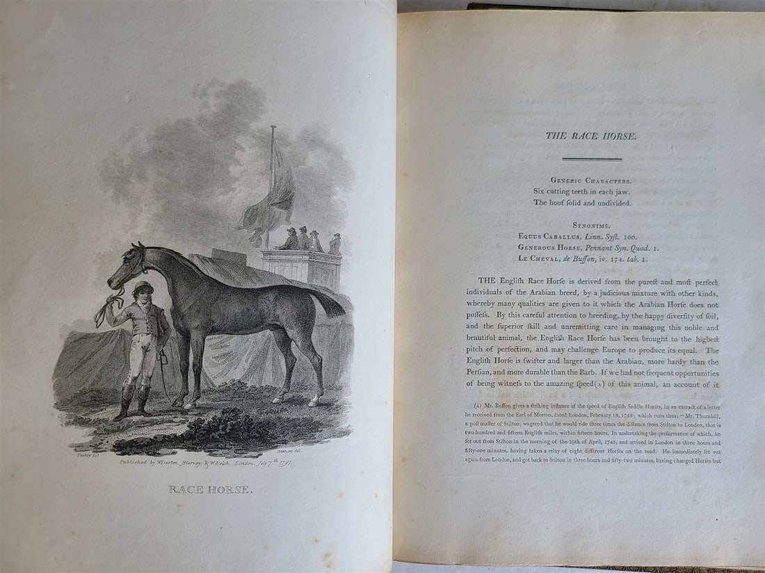 1805 CABINET of QUADRUPEDS ILLUSTRATED 2 FOLIO VOLUMES antique in ENGLISH - 18