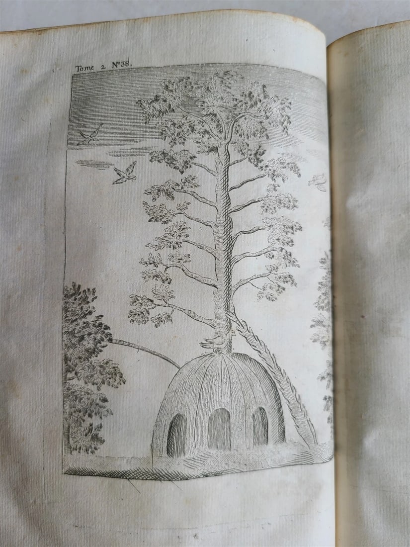 1777 2 VOLUMES antique ILLUSTRATED ANIMAL HUSBANDRY TOOLS PLANTING FORESTRY - 14