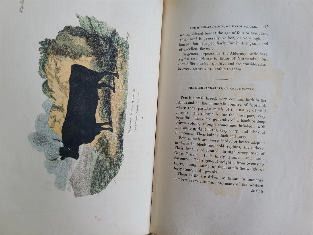 1809 BRITISH QUADRUPEDS by BINGLEY 2 VOLS FULLY ILLUSTRATED antique in ENGLISH - 11