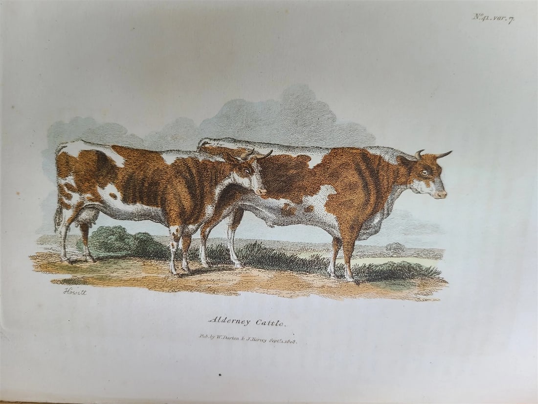 1809 BRITISH QUADRUPEDS by BINGLEY 2 VOLS FULLY ILLUSTRATED antique in ENGLISH - 12