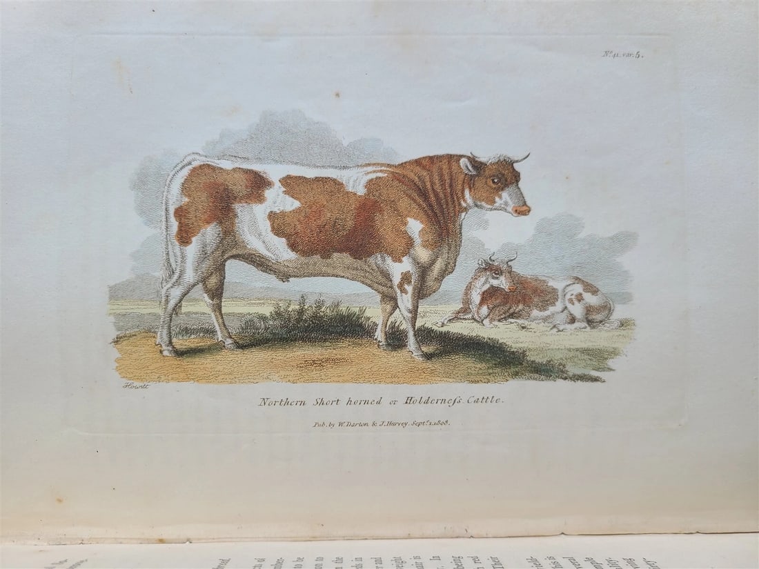 1809 BRITISH QUADRUPEDS by BINGLEY 2 VOLS FULLY ILLUSTRATED antique in ENGLISH - 14