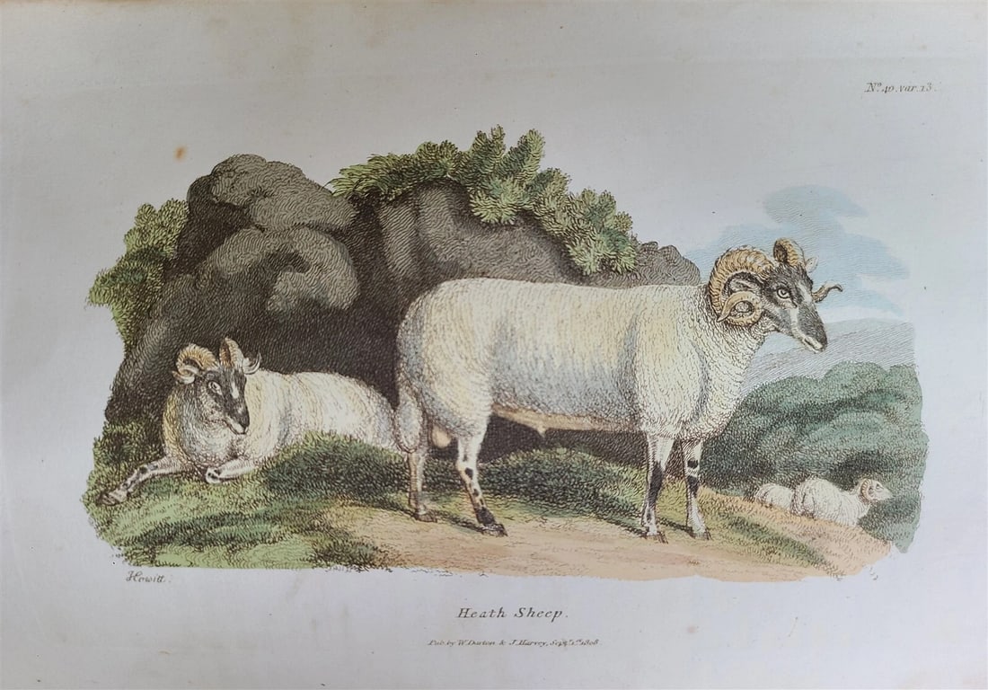 1809 BRITISH QUADRUPEDS by BINGLEY 2 VOLS FULLY ILLUSTRATED antique in ENGLISH - 15