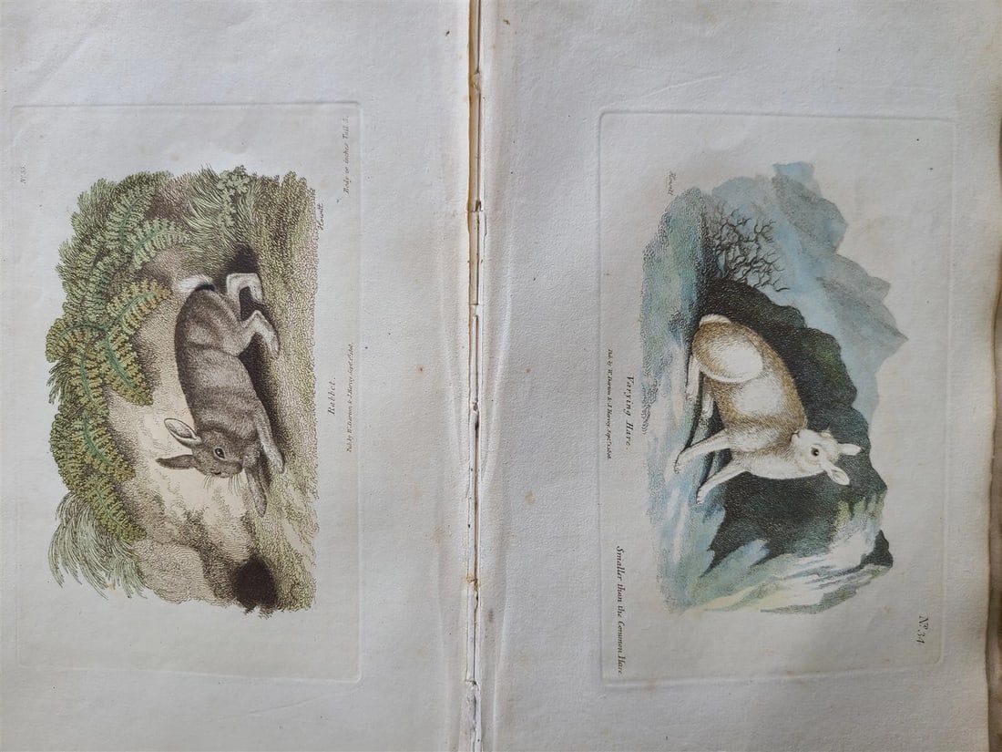 1809 BRITISH QUADRUPEDS by BINGLEY 2 VOLS FULLY ILLUSTRATED antique in ENGLISH - 16