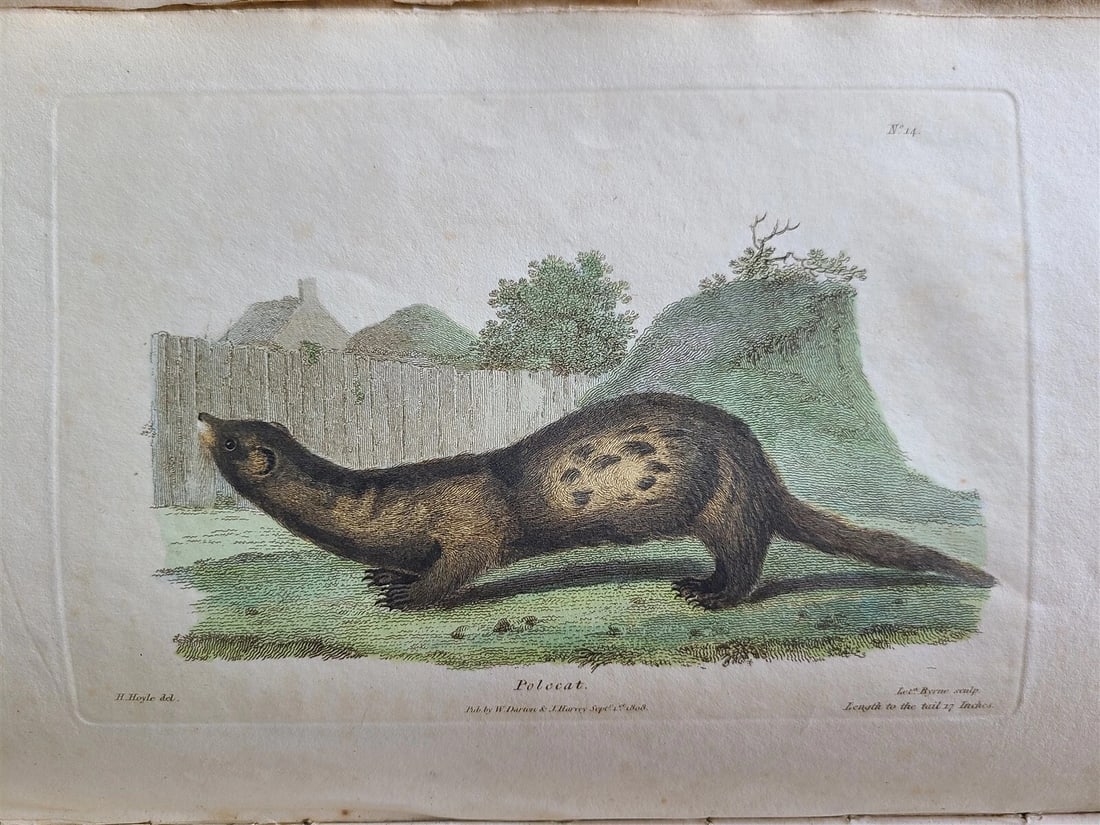 1809 BRITISH QUADRUPEDS by BINGLEY 2 VOLS FULLY ILLUSTRATED antique in ENGLISH - 6