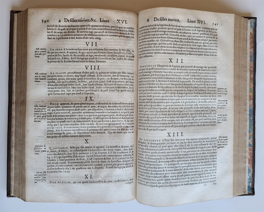 1568 NOTABLE JUDGMENTS OF SOVEREIGN COURTS OF FRANCE antique ARMORIAL BINDING - 10