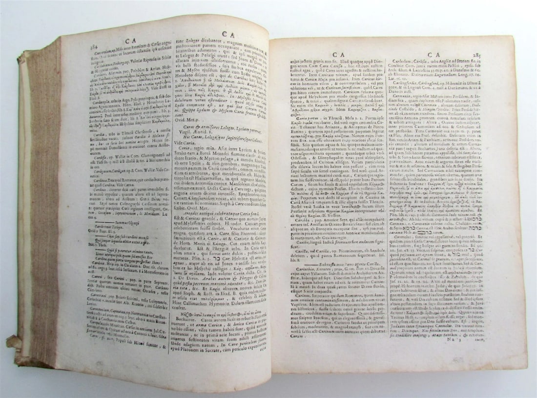 1693 Dictionarium historicum geographicum poeticum HAGUE ARMORIAL VELLUM antique - 4