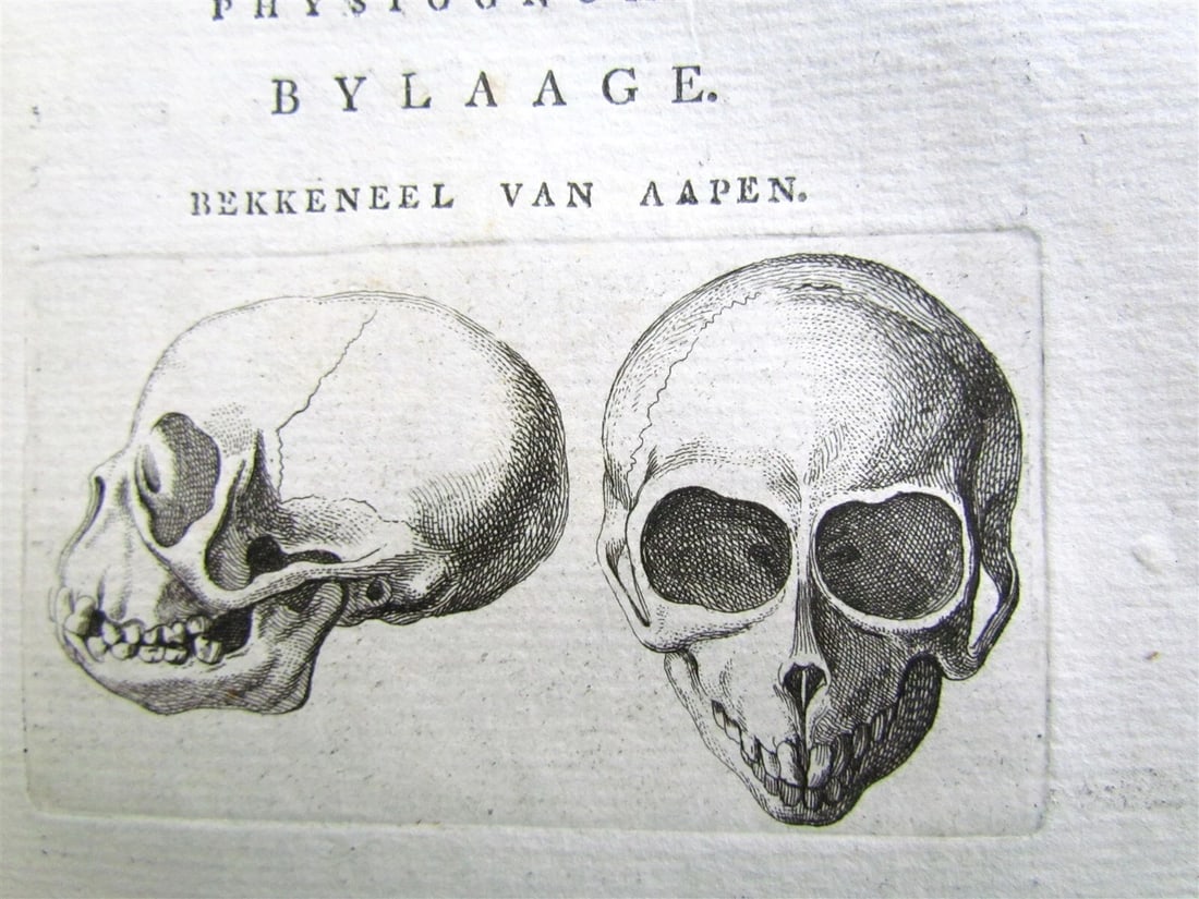1781 4 volumes PHYSIOGNOMY ILLUSTRATED 18th century antique set - 9