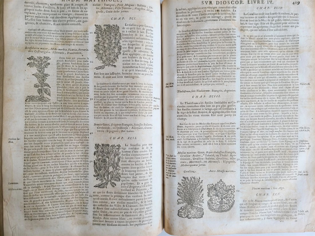 1680 MEDICAL PLANTS ILLUSTRATED w/ 1478 woodcuts antique by Mattioli FOLIO rare - 11