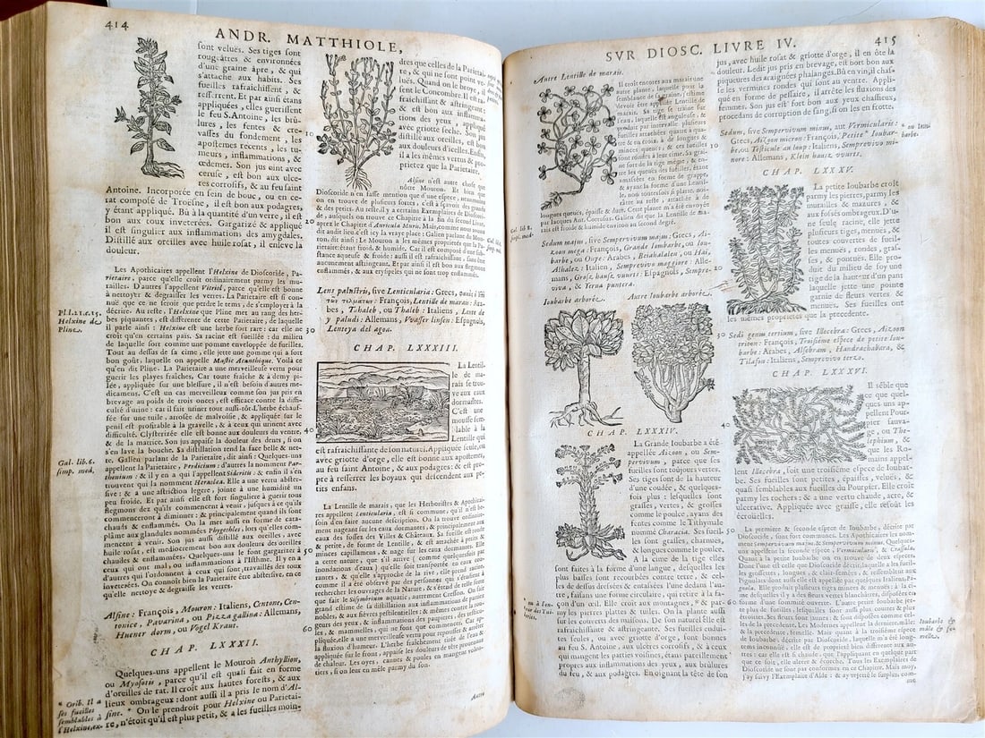 1680 MEDICAL PLANTS ILLUSTRATED w/ 1478 woodcuts antique by Mattioli FOLIO rare - 13