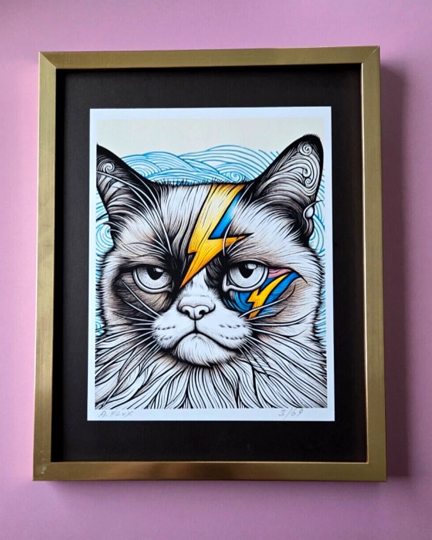 AIDAN FLUX | Hand Signed Original Print Framed LtdEd COA " DAVID BOWIE'S CAT ": This is a Stunning and Scarce 100% Authentic New Print by Aidan Flux AIDAN Flux represents a new wave of artists who embrace technology as a partner in creation, crafting works that resonate with the 